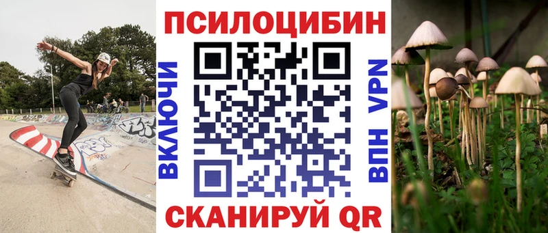 OMG маркетплейс  Ардатов  Галлюциногенные грибы прущие грибы 